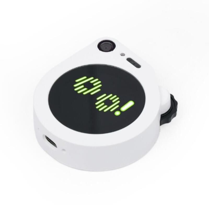SenseCAP Watcher W1-B, AI-assistent for romovervåking